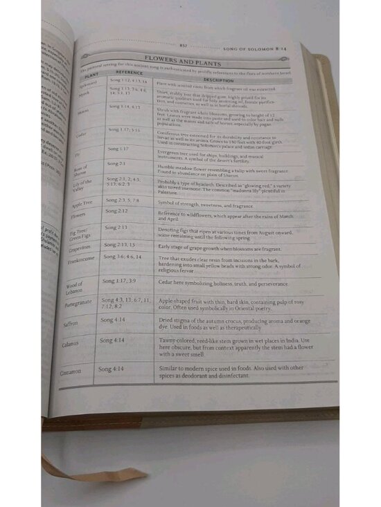 The Womans Study Bible New King James NKJV Tan Cream Leathersoft Nelson 2006 - Picture 9 of 11